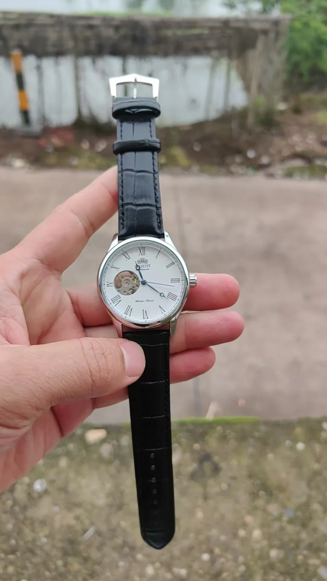Zegarek mechaniczny DFDG z peł – Seiko Watch Presage recenzja i cena